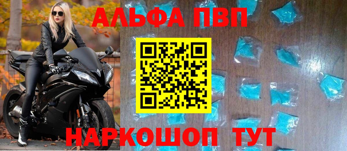 A PVP СК КРИС Алексин