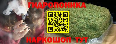 ГАЛЛЮЦИНОГЕННЫЕ ГРИБЫ Янаул