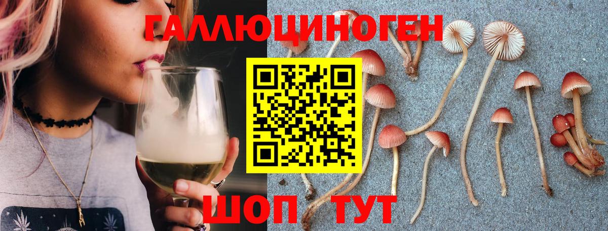 Галлюциногенные грибы Psilocybe Алексин