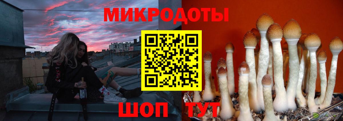 Псилоцибиновые грибы прущие грибы  где купить наркоту  Алексин  Вход с VPN  Псилоцибиновые грибы GOLDEN TEACHER 